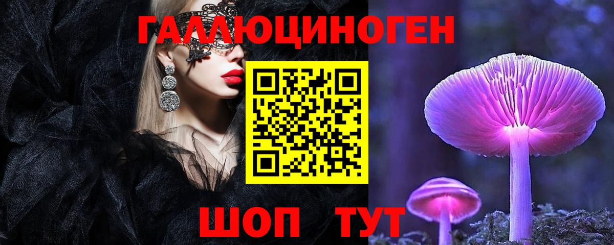 Кунгур  Галлюциногенные грибы Psilocybine cubensis  Вход с VPN  Псилоцибиновые грибы GOLDEN TEACHER 